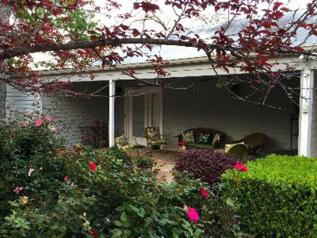Comal Inn Нью Браунфелс Номер фото